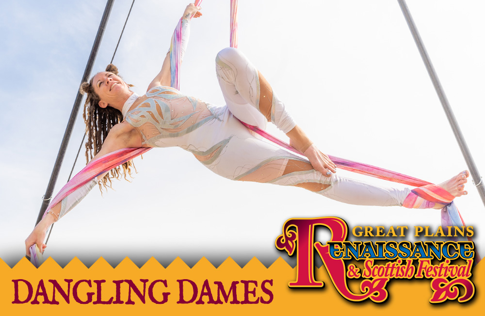 Header image for Dangling Dames: aerobatic performance in progress